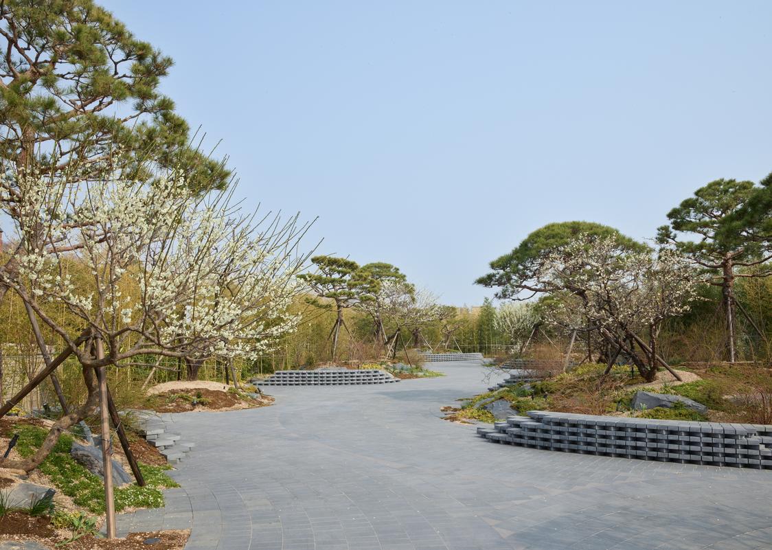 Gabriel Orozco Garden