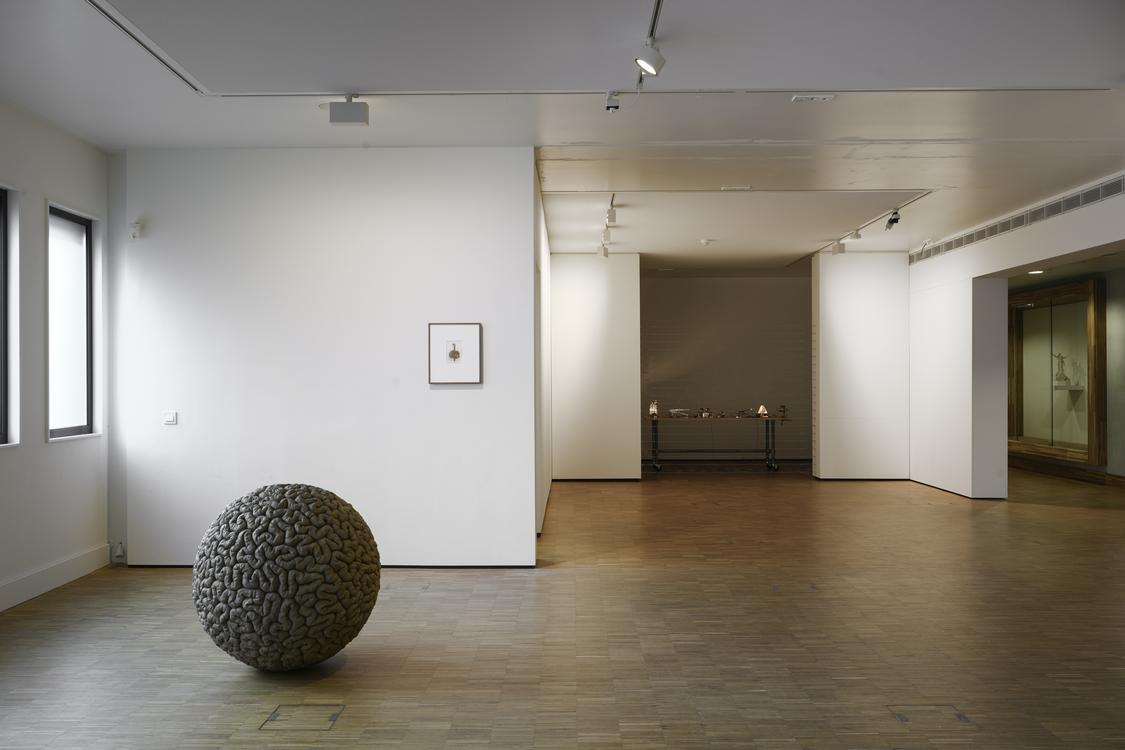 Mona Hatoum: Inside Out