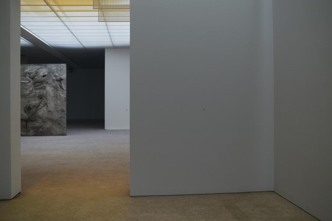 Pierre Huyghe