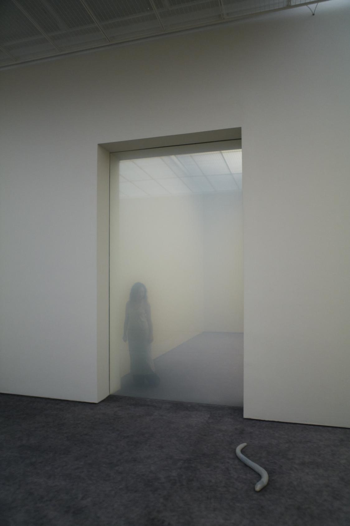 Pierre Huyghe