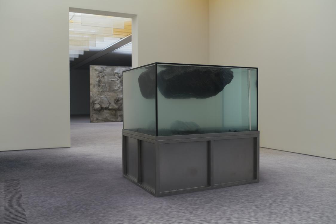 Pierre Huyghe