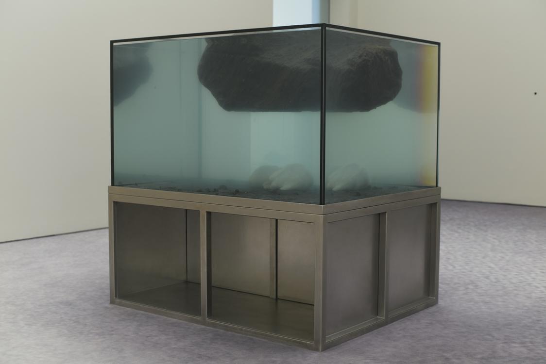 Pierre Huyghe