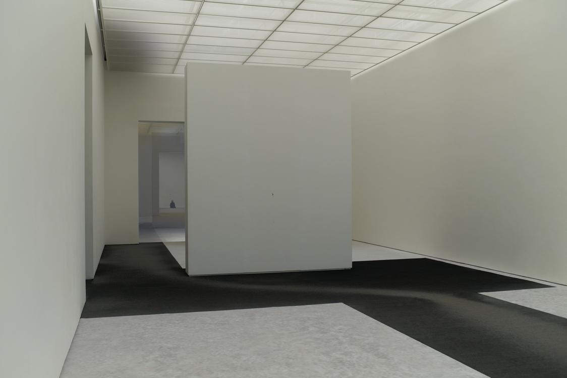 Pierre Huyghe