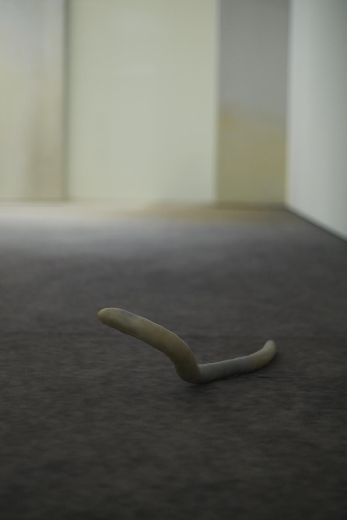 Pierre Huyghe