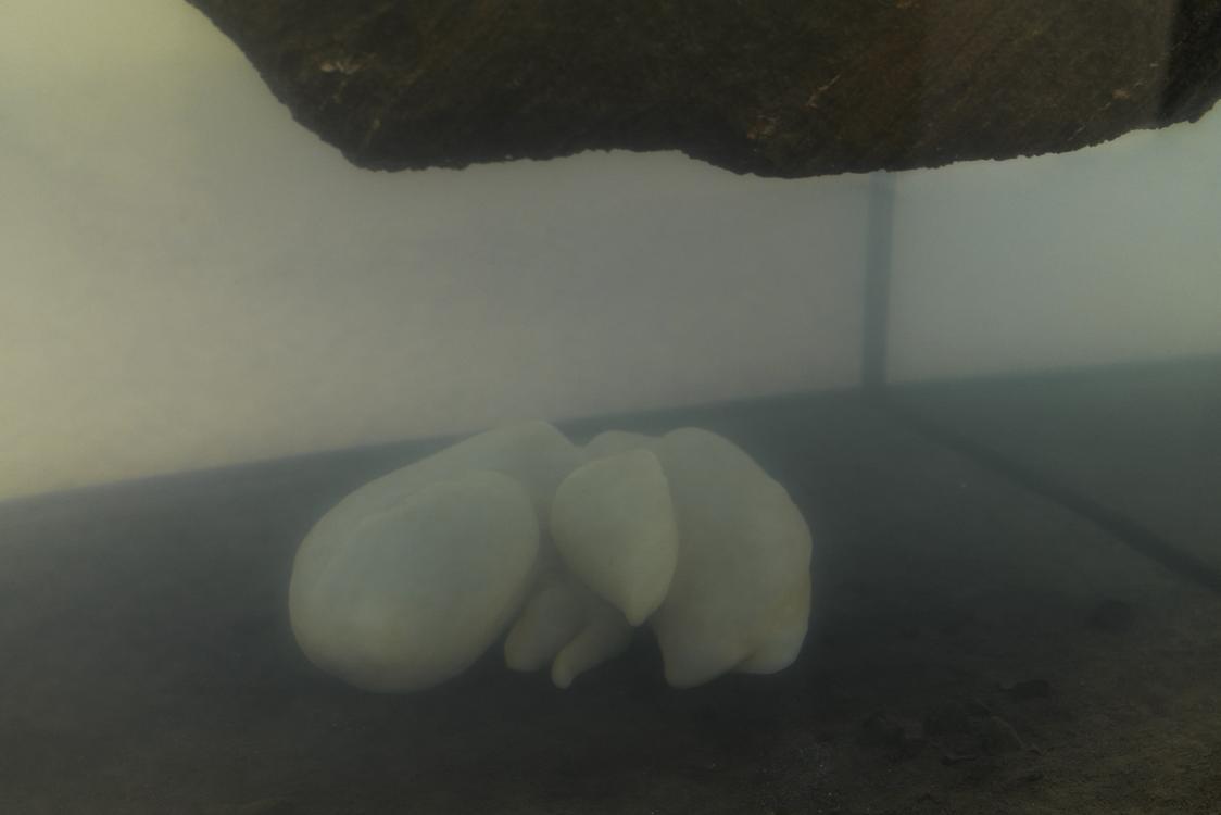 Pierre Huyghe