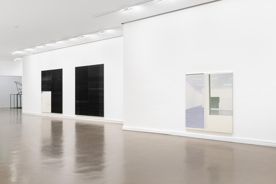 Wade Guyton