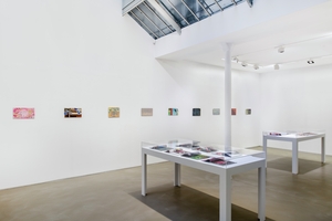Clément Rodzielski, Galerie Chantal Crousel, Paris, 2020.