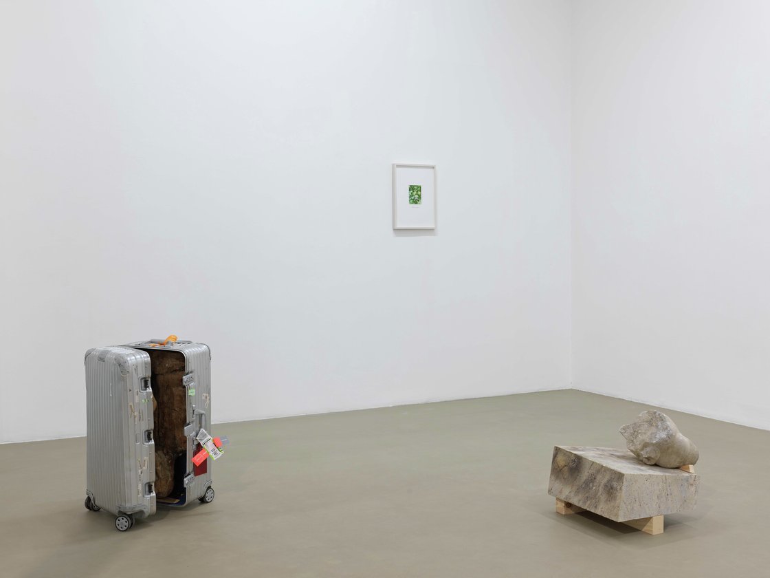 Danh Vo