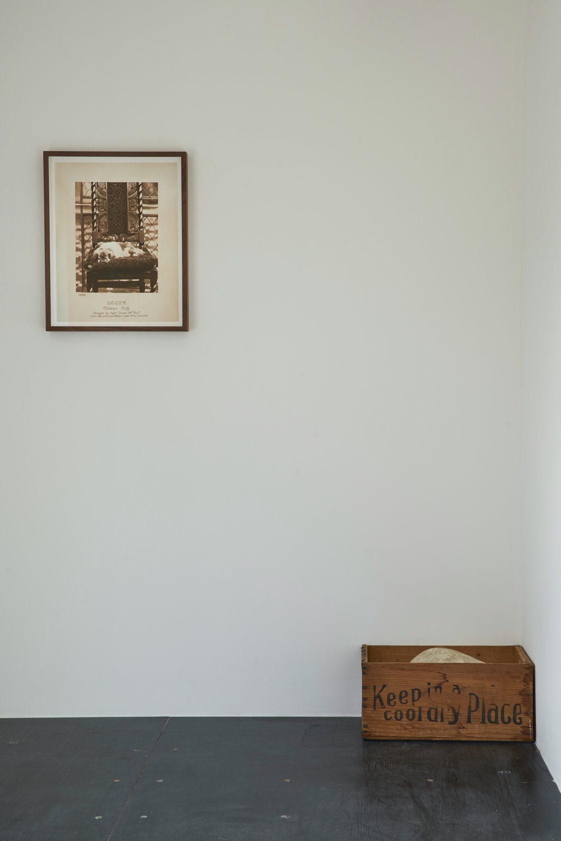 Noguchi for Danh Võ: Counterpoint