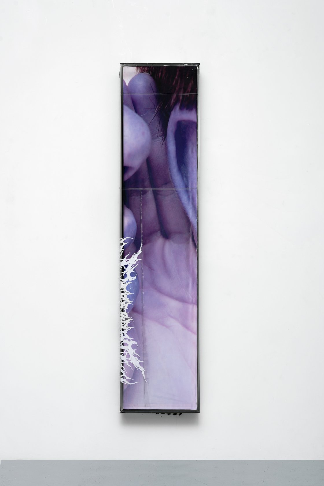 David Douard, Untitled, 2020