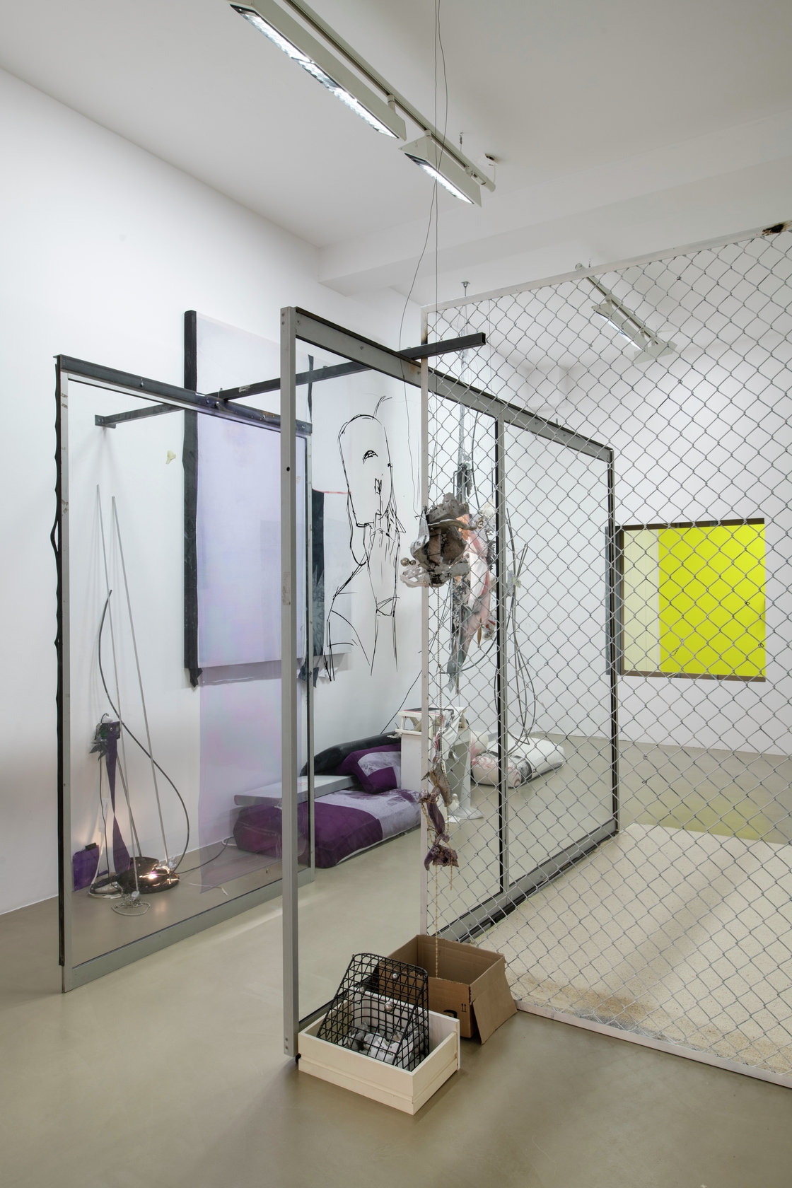 O’DA’OLDBORIN’GOLD