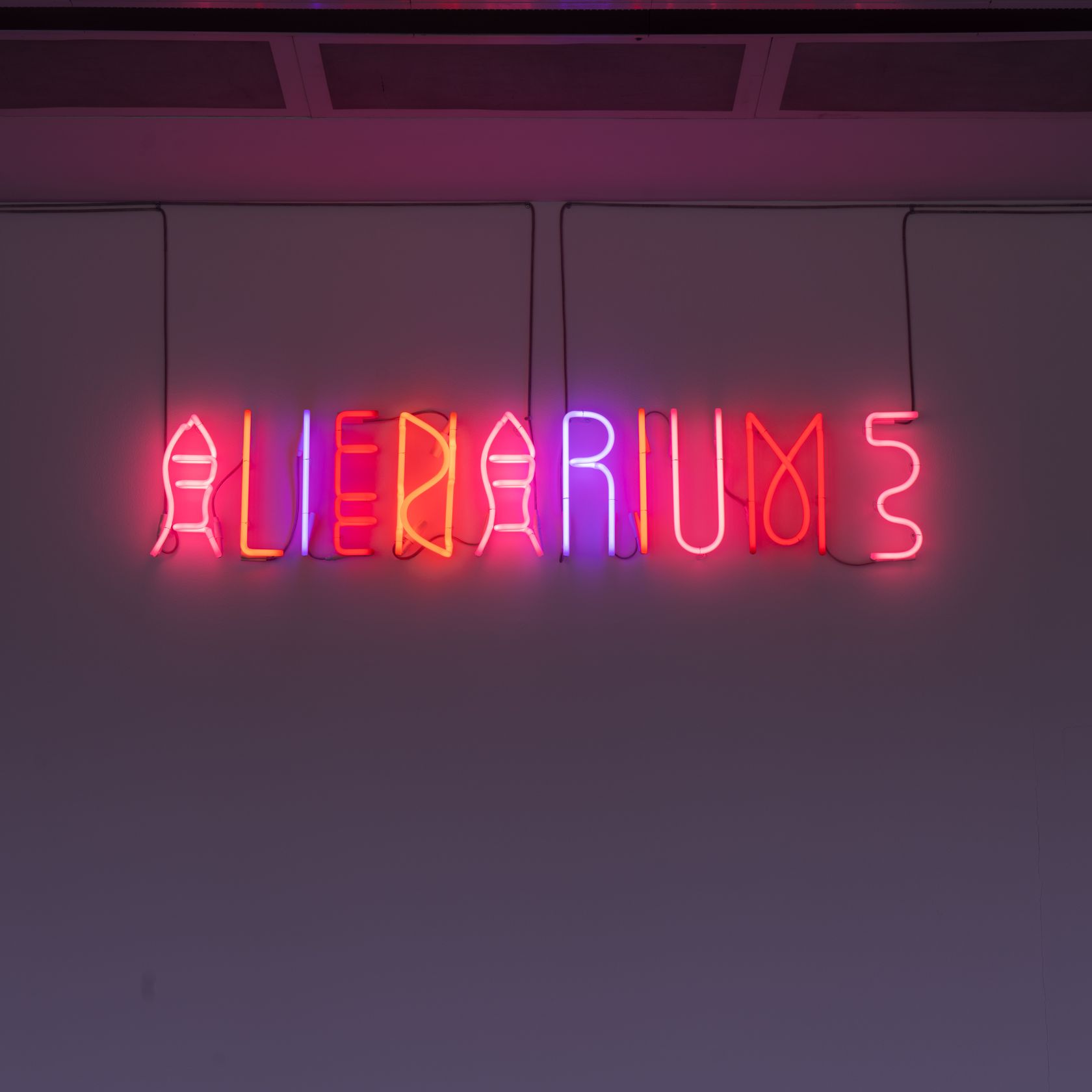 Dominique Gonzalez-Foerster, Alienarium 5