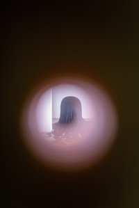 Dominique Gonzalez-Foerster, La planète close (vision), 2021