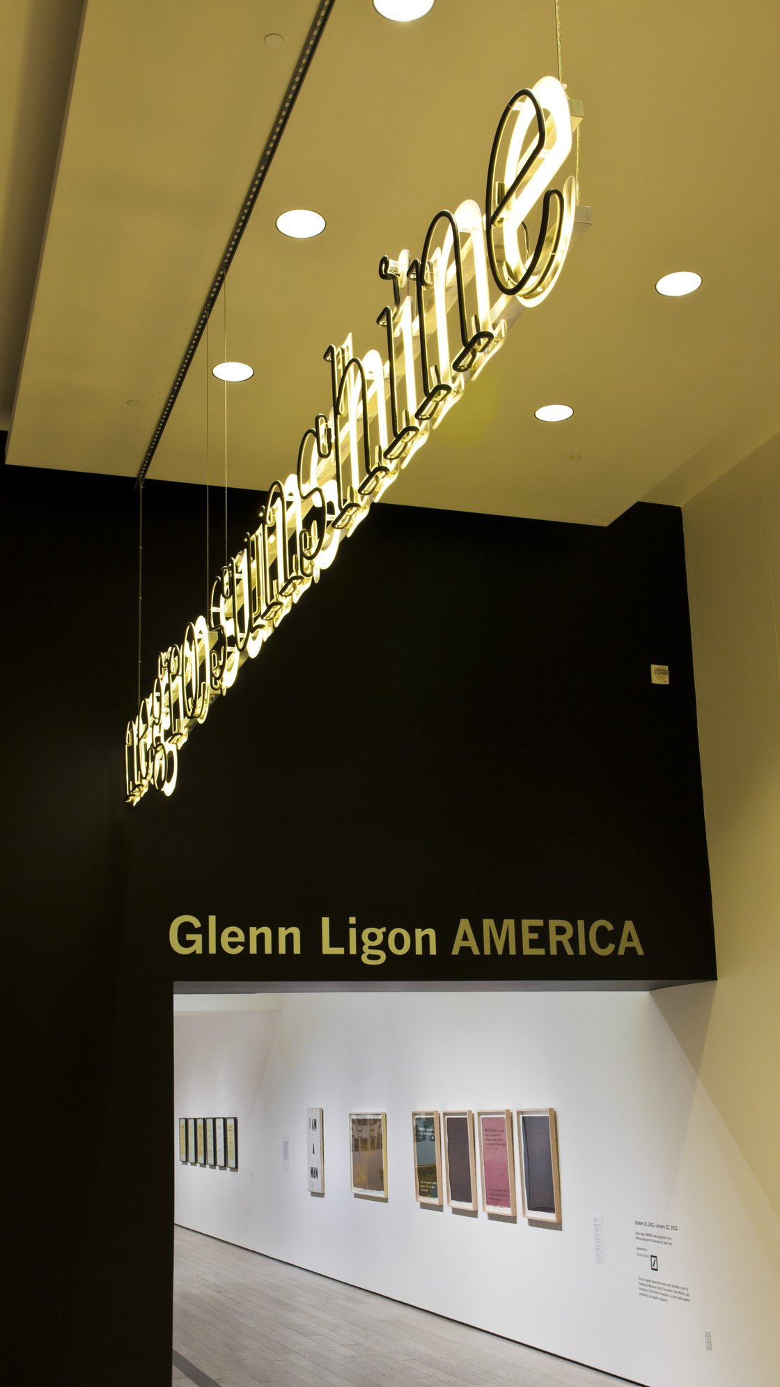 Glenn Ligon: AMERICA