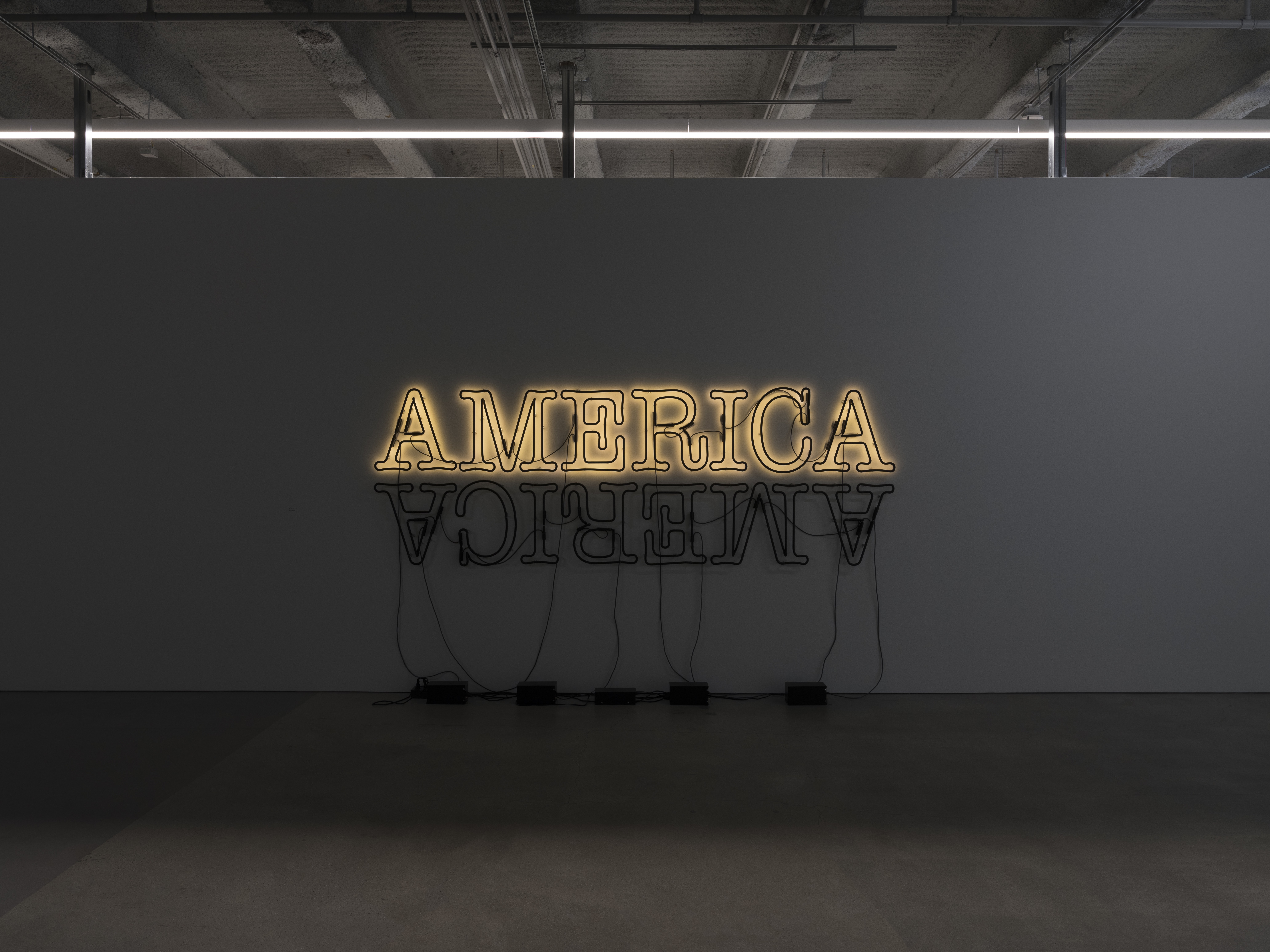 Glenn Ligon: Selections from the Marciano Collection