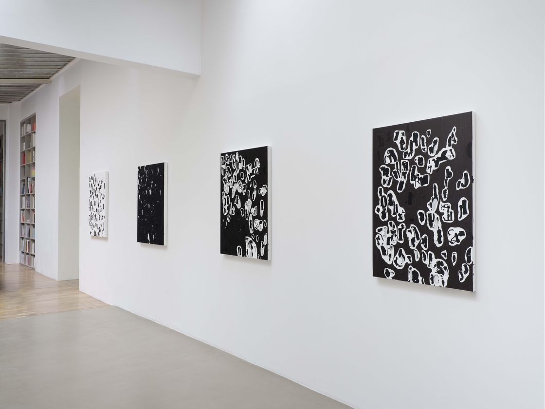 Debris Field/Notes for a Poem on the Third World/Soleil Nègre