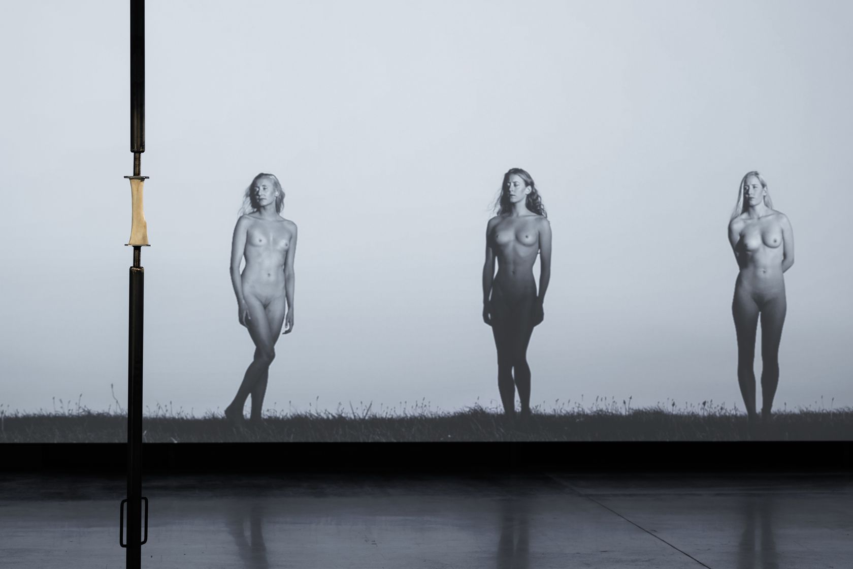 Jean-Luc Moulène and Teams