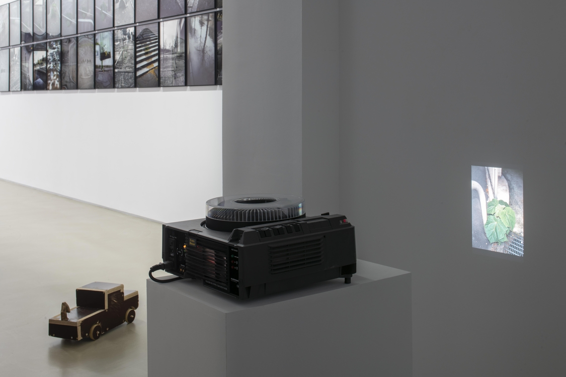 La Vigie (extraits), Paris, 2004-2011 / Plant, Paris, 2002 / Contre-ciel, Paris, été 2005 / La victoire de Bercy, Paris, mai 2007 / Stomac, San Rafael-Tlaquepaque, 2018