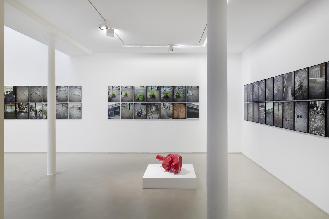 La Vigie (extraits), Paris, 2004-2011 / Plant, Paris, 2002 / Contre-ciel, Paris, été 2005 / La victoire de Bercy, Paris, mai 2007 / Stomac, San Rafael-Tlaquepaque, 2018