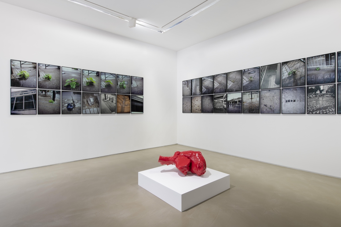 La Vigie (extraits), Paris, 2004-2011 / Plant, Paris, 2002 / Contre-ciel, Paris, été 2005 / La victoire de Bercy, Paris, mai 2007 / Stomac, San Rafael-Tlaquepaque, 2018