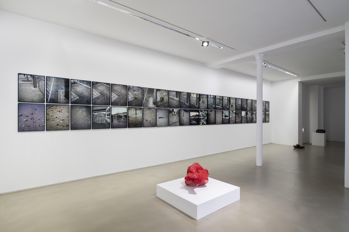 La Vigie (extraits), Paris, 2004-2011 / Plant, Paris, 2002 / Contre-ciel, Paris, été 2005 / La victoire de Bercy, Paris, mai 2007 / Stomac, San Rafael-Tlaquepaque, 2018