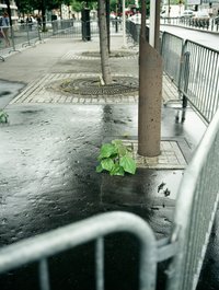 Jean-Luc Moulène, La Vigie (extrait 3), 2011