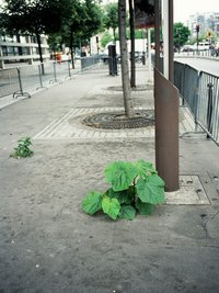 Jean-Luc Moulène, La Vigie (extrait 3), 2011