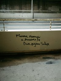 Jean-Luc Moulène, La Vigie (extrait 3), 2011