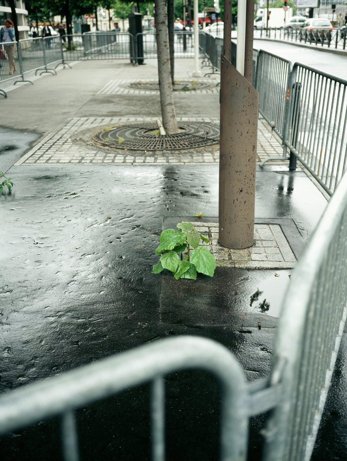 Jean-Luc Moulène, La Vigie (extrait 3), 2011