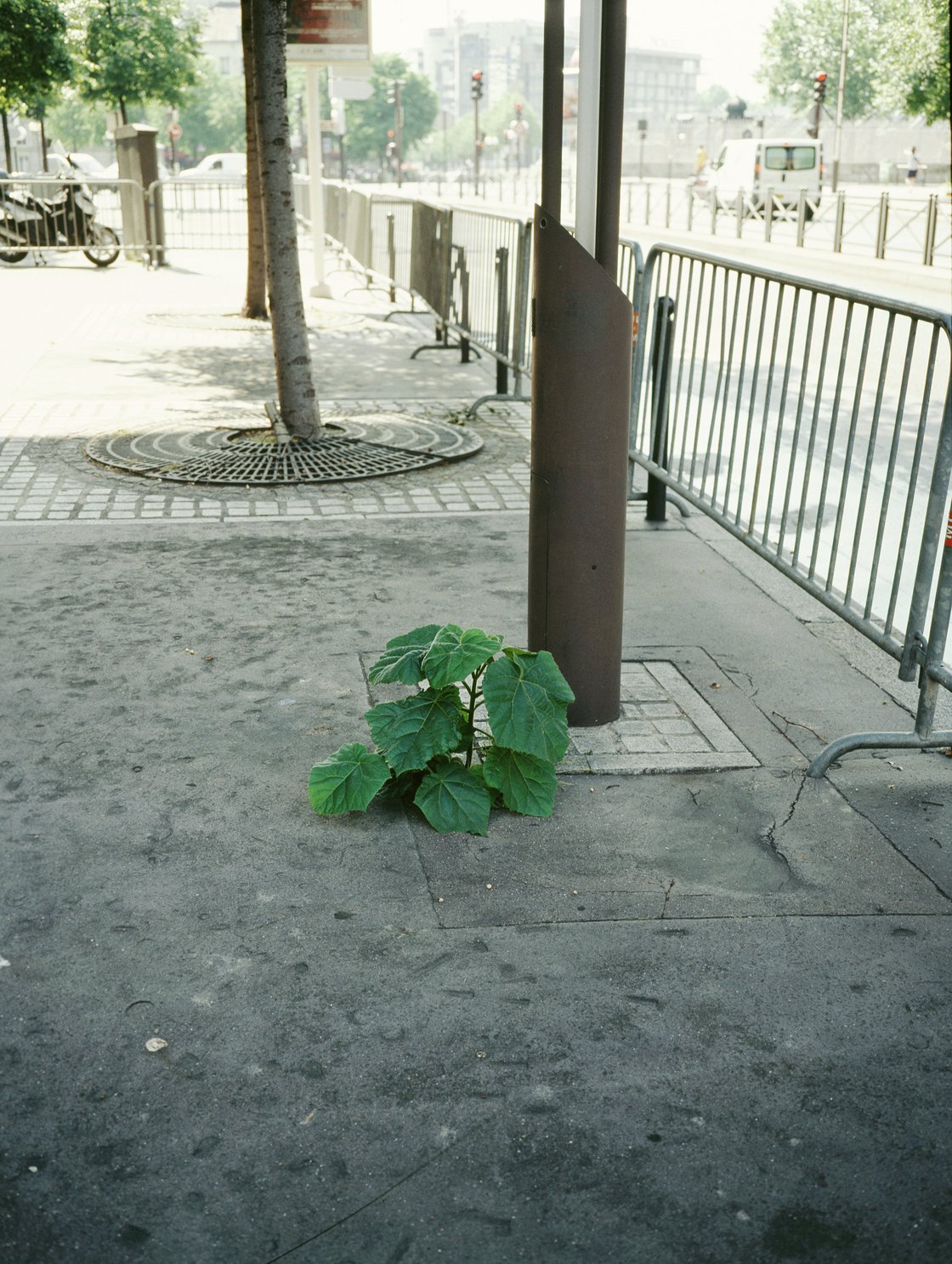 Jean-Luc Moulène, La Vigie (extrait 3), 2011