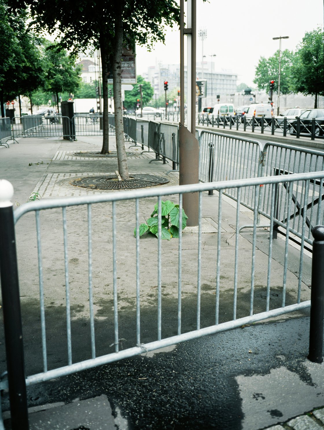 Jean-Luc Moulène, La Vigie (extrait 3), 2011