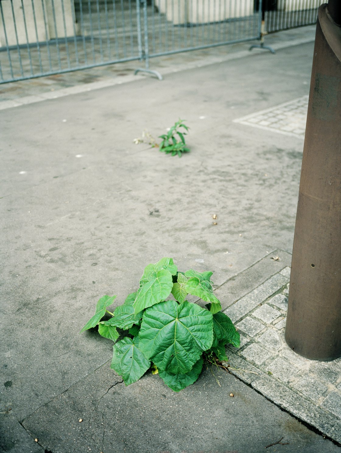 Jean-Luc Moulène, La Vigie (extrait 3), 2011