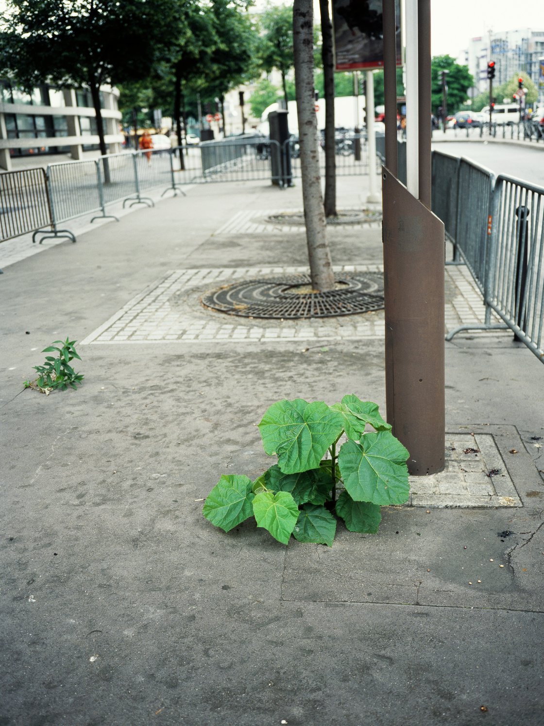 Jean-Luc Moulène, La Vigie (extrait 3), 2011