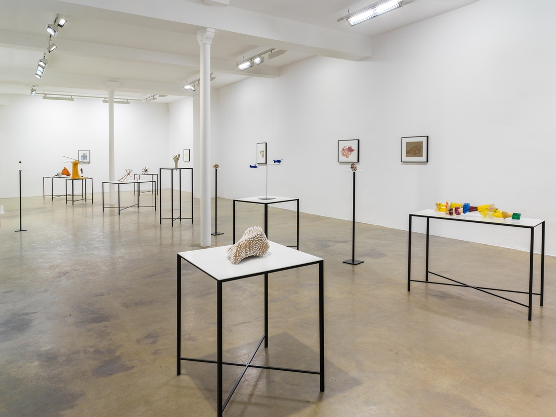 Ce fut une belle journée