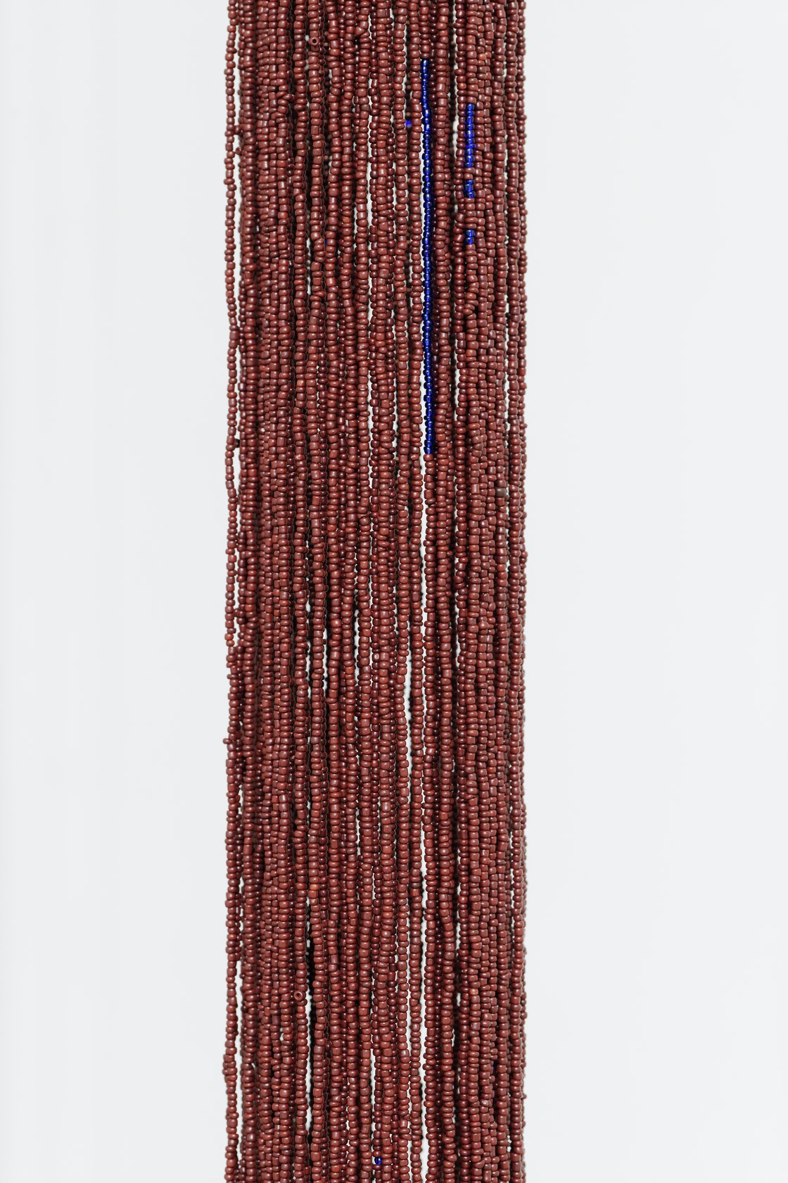 Mimosa Echard, Sap 2, 2021
