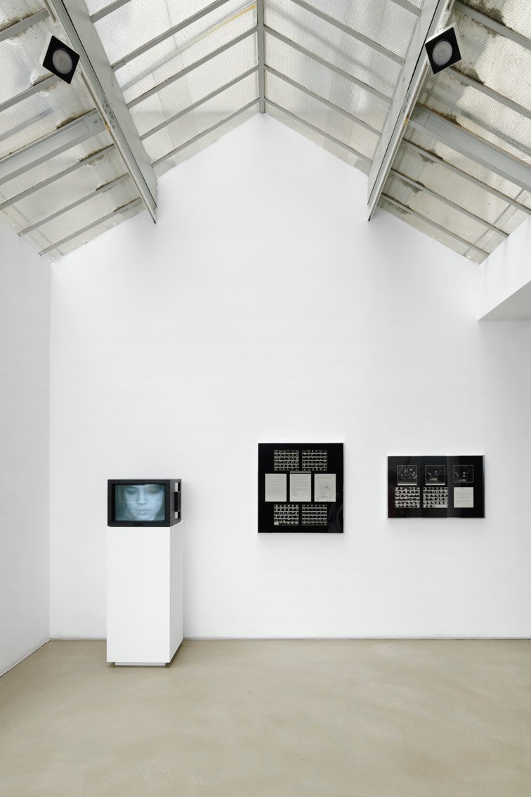 Performance Documents, 1980-1987/2013
