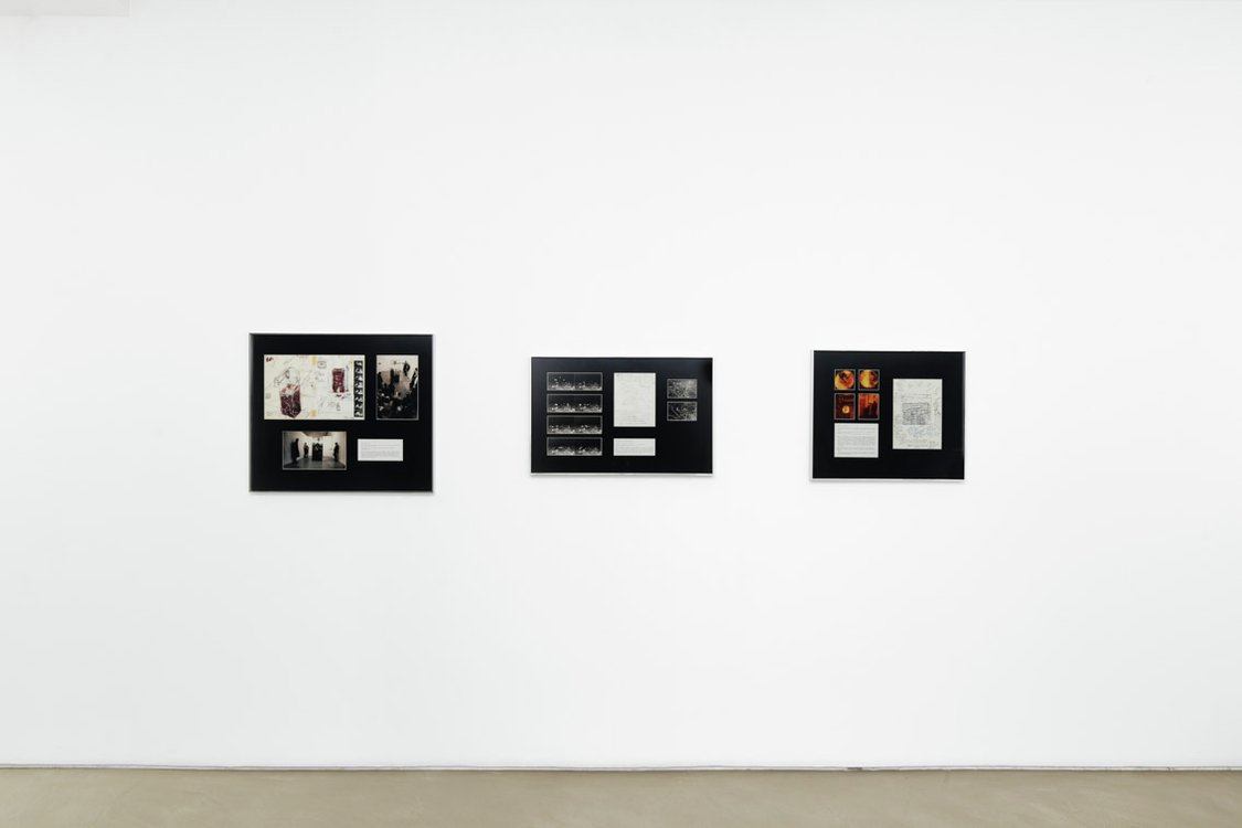 Performance Documents, 1980-1987/2013