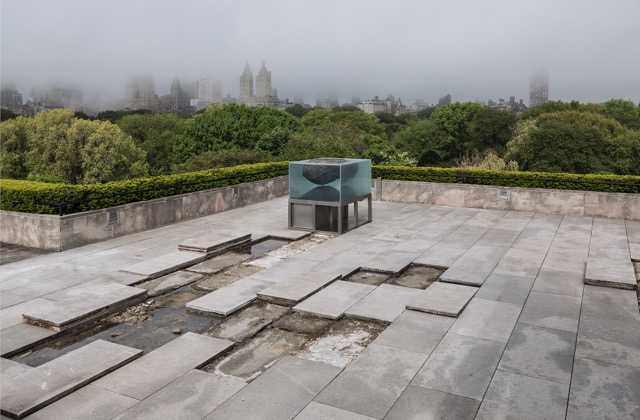 The Roof Garden Commission: Pierre Huyghe