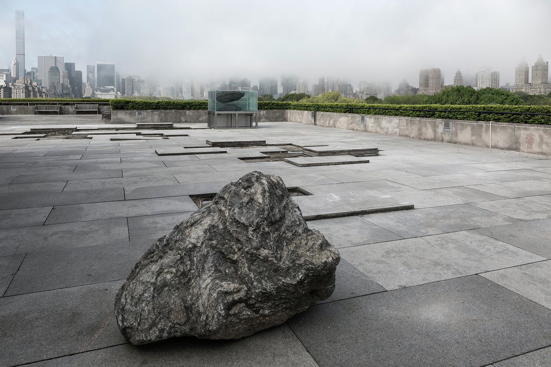The Roof Garden Commission: Pierre Huyghe
