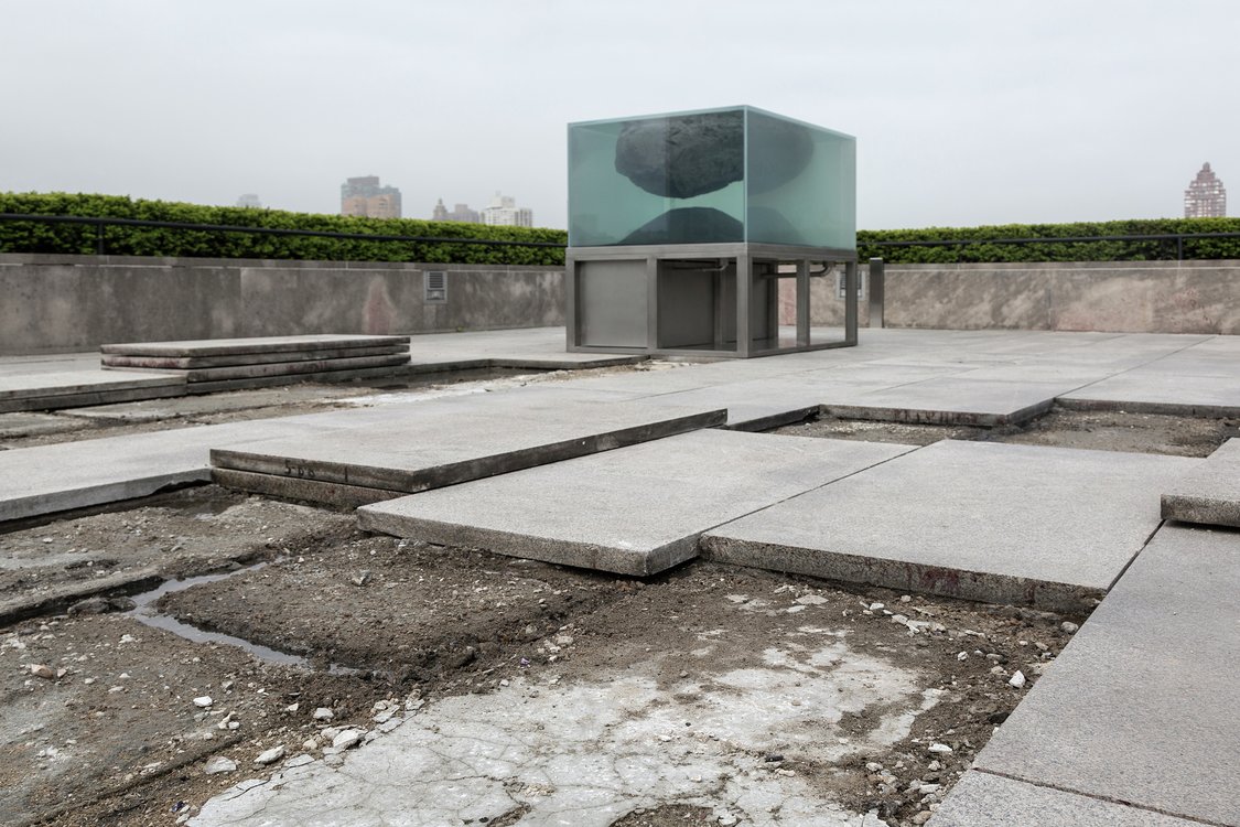 The Roof Garden Commission: Pierre Huyghe