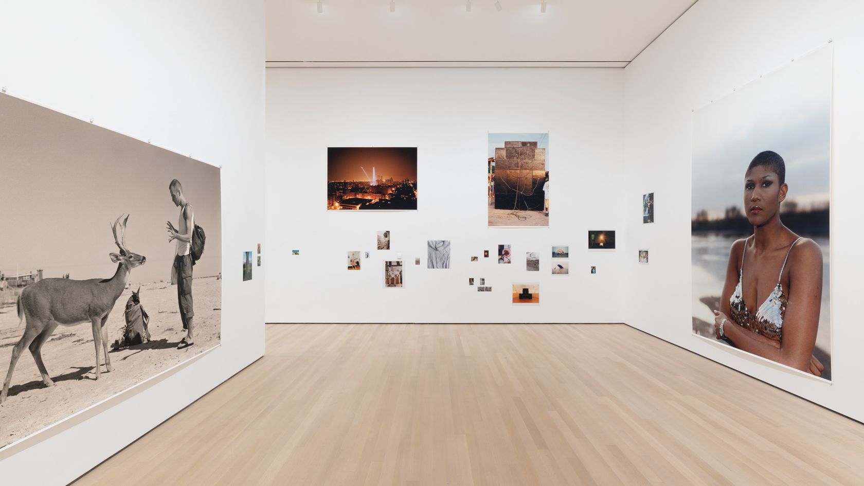 Wolfgang Tillmans: To look without fear
