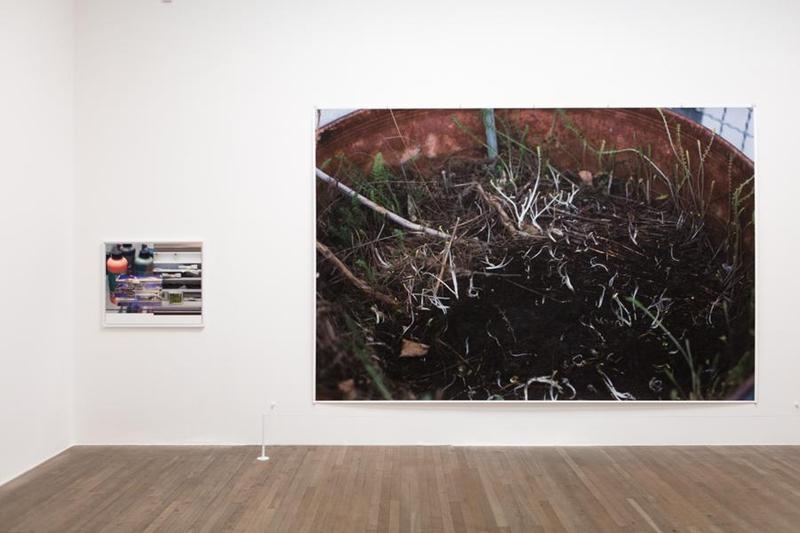 Wolfgang Tillmans: 2017