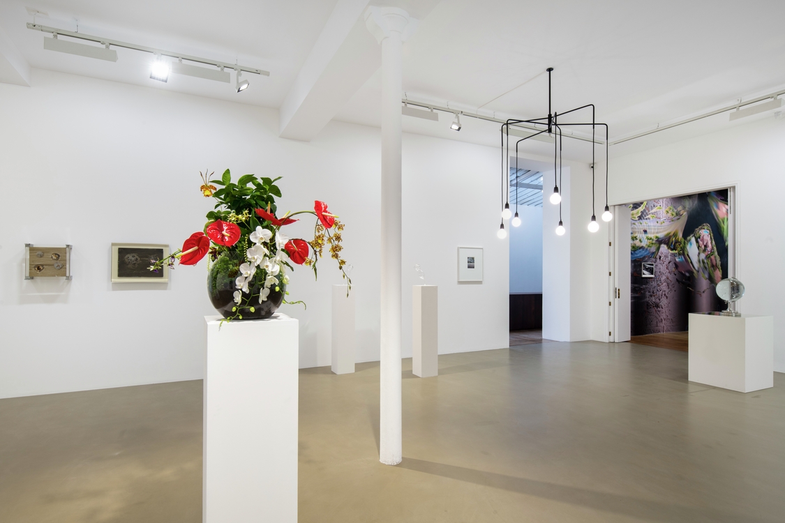 Scènes dans une bulle de cristal — Seen in a crystal ball