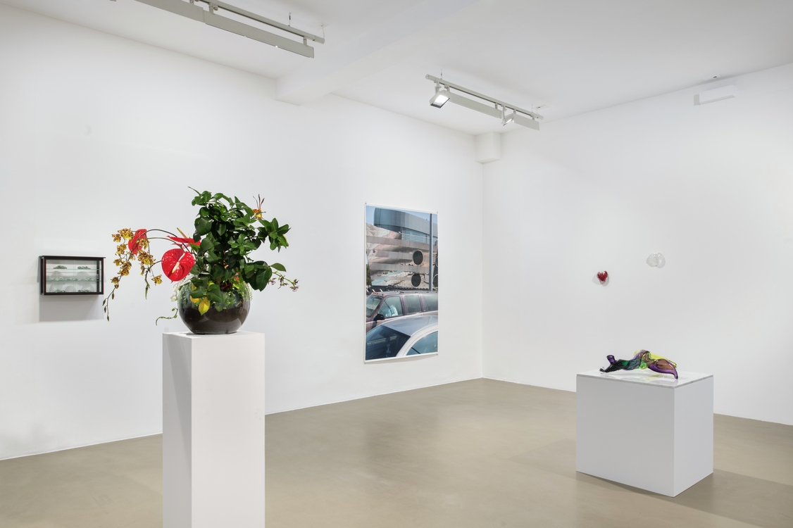 Scènes dans une bulle de cristal — Seen in a crystal ball