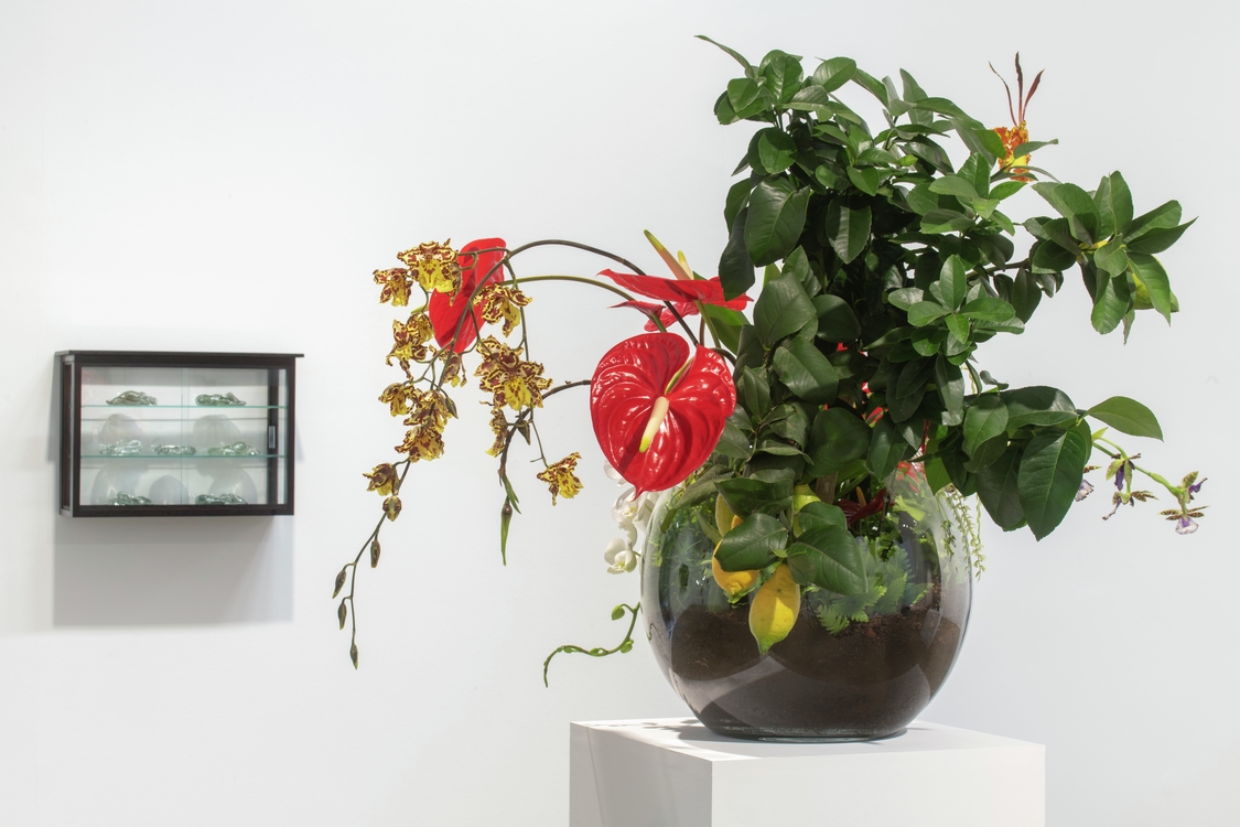 Scènes dans une bulle de cristal — Seen in a crystal ball