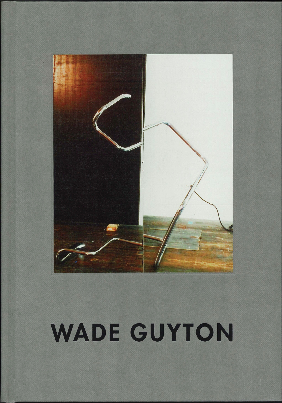 Wade Guyton